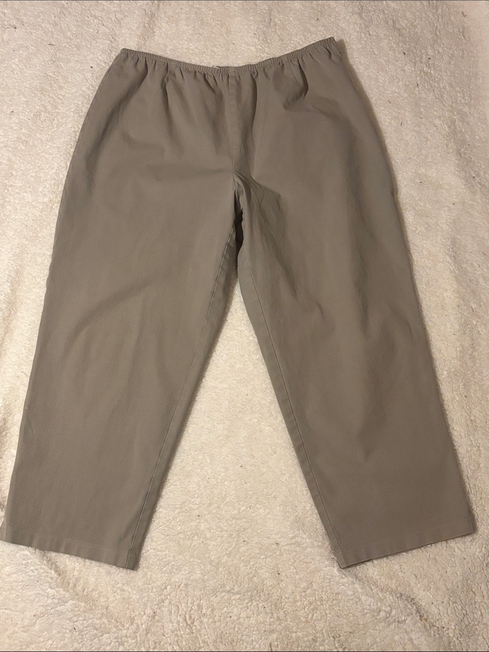 Eileen Fisher Woman  Relaxed Elastic-Waist 1X Pants in Taupe